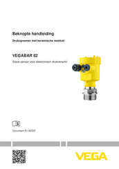 Vega VEGABAR 82 Beknopte Handleiding