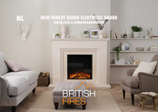 British Fires NEW FOREST 650SQ Installatie- En Gebruiksaanwijzing