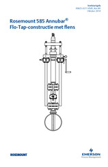 Emerson Rosemount 585 Annubar Snelstartgids