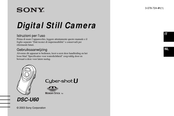 Sony Cyber-shot U DSC-U60 Gebruiksaanwijzing