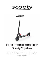 Scooty City Gran Instructies