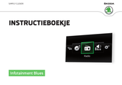 Skoda Infotainment Blues Instructieboekje