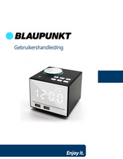 Blaupunkt BLP2930-001 Gebruikershandleiding