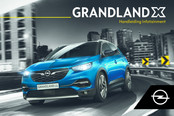 Opel CROSSLAND X 2017 Handleiding