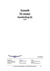 Ecosoft P1-meter Handleiding