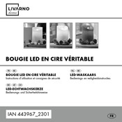 LIVARNO home HG10251C Bedienings- En Veiligheidsinstructies