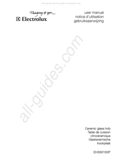 Electrolux EHS60160P Gebruiksaanwijzing