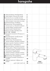 Hansgrohe Steel 35807800 Gebruiksaanwijzing