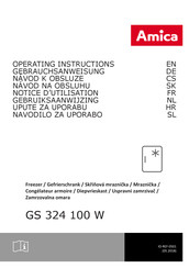 Amica GS 324 100 W Gebruiksaanwijzing