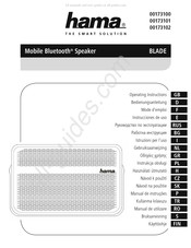 Hama 00173100 Gebruiksaanwijzing