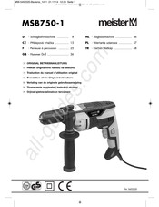 Meister MSB750-1 Vertaling Van De Originele Gebruiksaanwijzing