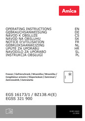 Amica EGSS 321 900 Gebruiksaanwijzing