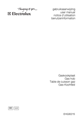Electrolux EHG30215 Gebruiksaanwijzing